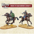 The Baron's War - Ayyubid Medium Cavalry 2 0