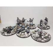 White infantry and supports in winter clothing