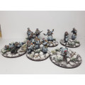 White infantry and supports in winter clothing 0