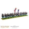 American Civil War - Infantry Regiment Firing Line 2