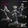 White Angel Miniatures - Elfes Noirs - Dark Elf Furies 6