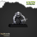 Highlands Miniatures - Steppe Goblins - Goblars 4