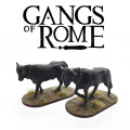 Gangs of Rome - Oxen 0