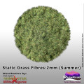 Static Grass Summer 2mm 0