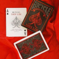 Bicycle - Shin Lim Magic 2