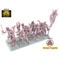 Dark Elves - x10 Furious Witches & Officers - HoloMiniatures 0
