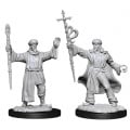 D&D Nolzur's Marvelous Unpainted Miniatures: Human Wizard Male 0