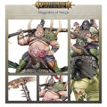 Age of Sigmar : Chaos - Maggotkin of Nurgle Vanguard 2