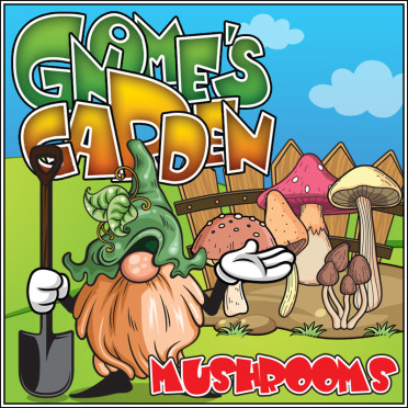 Gnome's Garden: Mushrooms