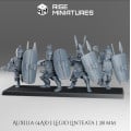 Rise Miniatures - Samnite Wars - Armée Complète Samnite - 28/32 mm 9