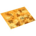 Tapis - 60 x 44 - Double Face avec marquage Nexus Pariah 5