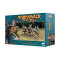 Warhammer - The Old World : Empire - Chevaliers Demigriffons 0