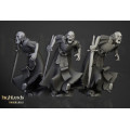 Highlands Miniatures - Transilvanya - Wraith Unit 5