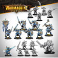 Warmachine - Cygnar Storm Legion Core Expansion 0