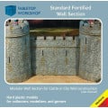 Fortified Wall Section 0