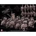 Avatars Of War- Goblin Wolfriders Battle-Ready Regiment 1