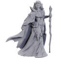 D&D Nolzur's Marvelous Unpainted Miniatures: Limited Edition 50th Anniversary Elves 2