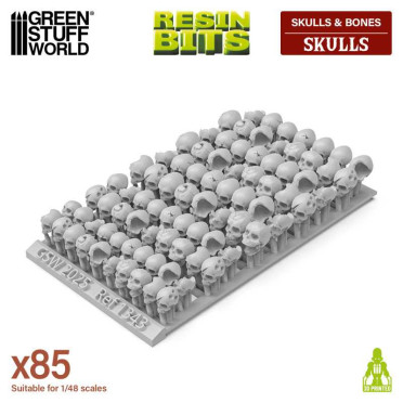 100x Resin Humans Skulls