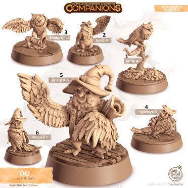 Cast n Play - Les Compagnons de Cornelias - Volants - Chouette