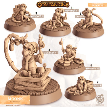Cast n Play - Les Compagnons de Cornelias - Primates - Monkey