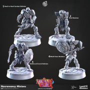 Cast n Play - Arcane Order - Necromancy minions