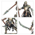 Age of Sigmar : Fer de Lance - Seigneurs Ruinemânes : Chasse Sanguivore 7