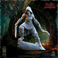 The Beholder Miniatures - Sylvains - Ombres 5