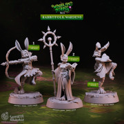 Cast n Play - Héros de la Fôret - Peuple Lapin