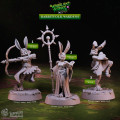 Cast n Play - Héros de la Fôret - Peuple Lapin 0
