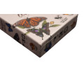 Papillons Célèstes 1