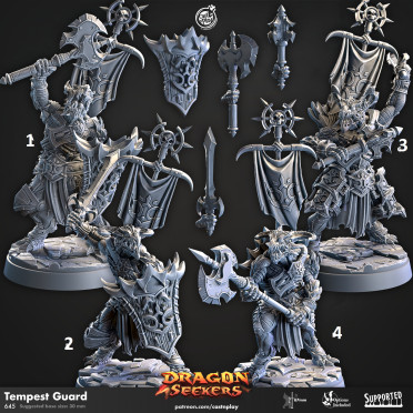 Cast n Play - Dragon Seekers - Gardes Tempête