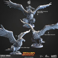 Cast n Play - Dragon Seekers - Faucons Planeurs 1