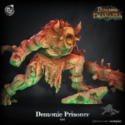 Cast n Play - Donjon de Thamarya - Prisonier Démoniaque