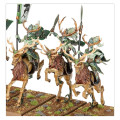 Warhammer - The Old World : Bataillon des Royaumes des Elfes Sylvains 2