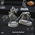 Cast n Play - Echos de la Vie - Ancien Chacal 1