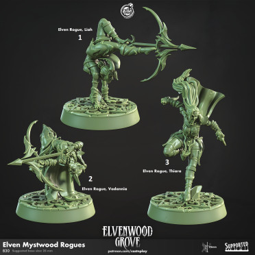 Cast n Play - Elvenwood Grove - Mystwood Rogues