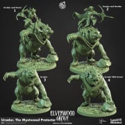 Cast n Play - Bosquet d'Elvenwood - Ursalor