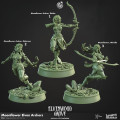 Cast n Play - Bosquet d'Elvenwood - Archers de Fleur de Lune 1