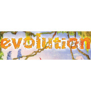 Evolution  - Extension Cartes