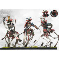 Conquest - Yoroni - Domaru Damashi 0
