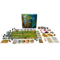 Everdell Duo 1