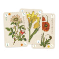 Officinalis de Luxe 2