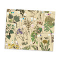 Officinalis de Luxe 3