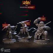 Cast n Play - Eternal Monks - Fighting Monks