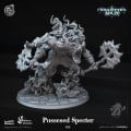 Cast n Play - Labyrinthe Oublié - Spectre Possédé 0