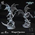 Cast n Play - Forgotten Maze - Winged Specters 0