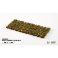 Gamers Grass - Shrubs 12