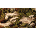 Gamers Grass - Shrubs 14