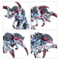 Kill Team - Typhon 10