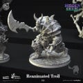 Cast n Play - Crypte Cachée - Troll Réanimés 0